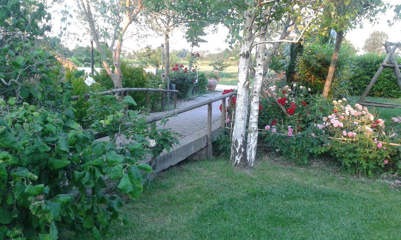 Fattoria Belvedere Bellaria-Igea Marina Eksteriør billede